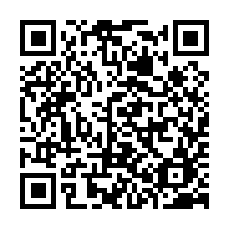 QR code for plate K03-11B