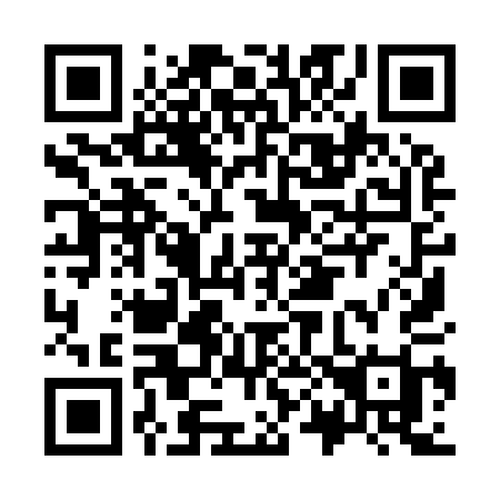 QR code for K0991I