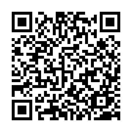 QR code for plate K46-17W