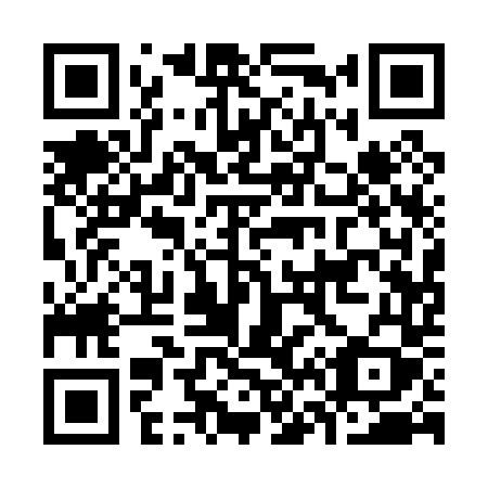 QR code for plate K61-04Y