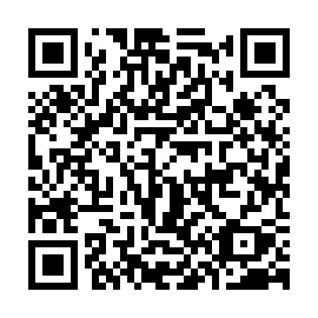 QR code for plate K69-13Y
