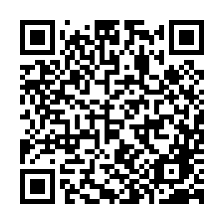 QR code for plate K91-04G