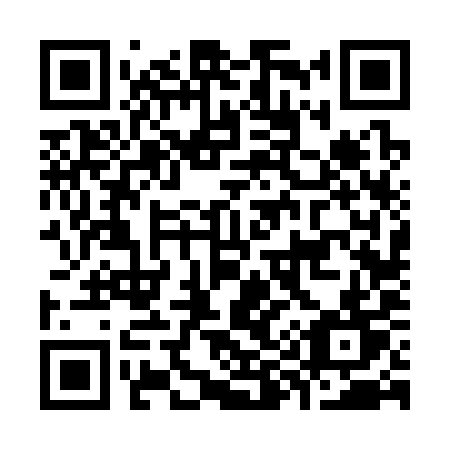 QR code for plate K96-39T
