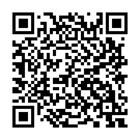 QR code for plate K99-11O