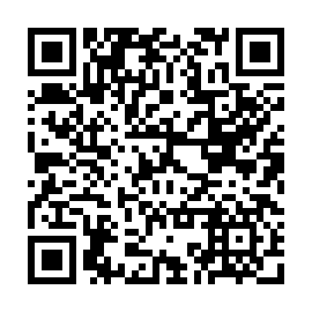 QR code for plate KKX-387