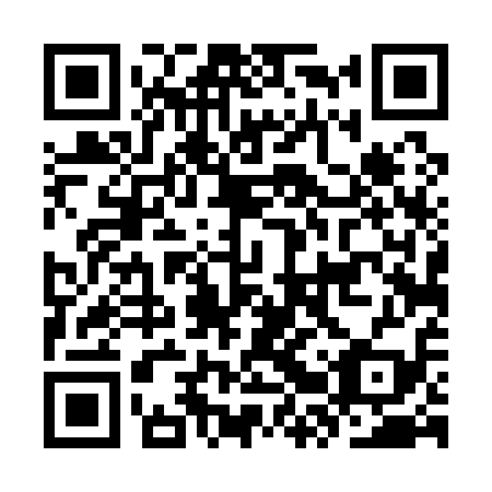 QR code for plate KRT-119