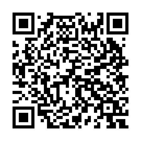 QR code for plate L00-27V