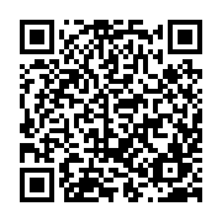 QR code for L01-29V