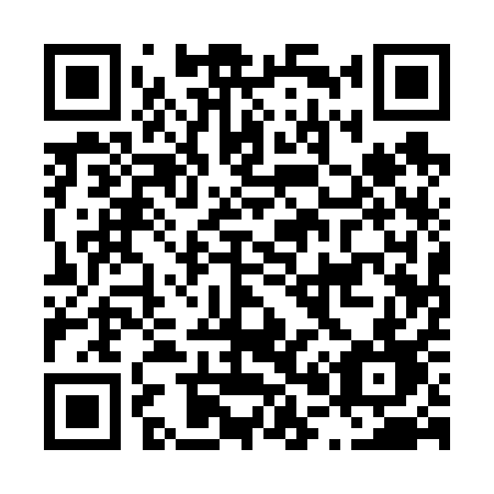QR code for L0161D