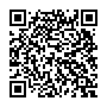 QR code for plate L02-63C