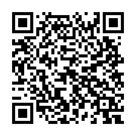 QR code for L0276P