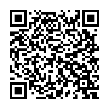 QR code for L0317N
