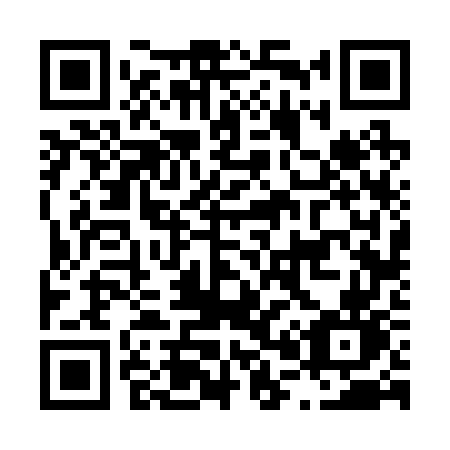 QR code for plate L06-27N