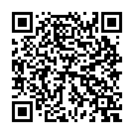 QR code for plate L09-36Q