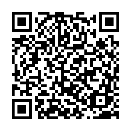 QR code for plate L09-36S