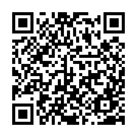 QR code for L11-55V