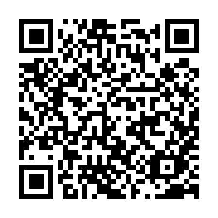 QR code for plate L11-58M
