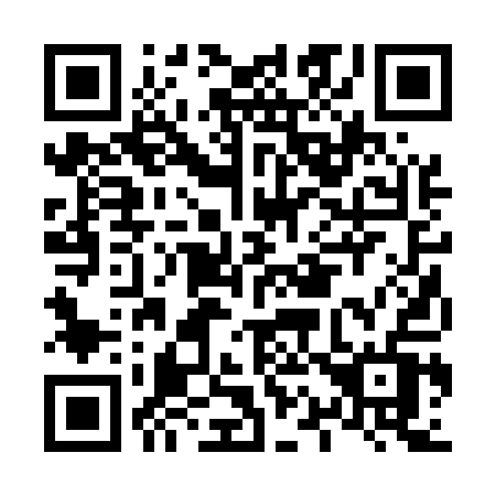 QR code for L1251V
