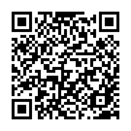 QR code for plate L13-08C