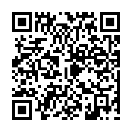 QR code for L1333G