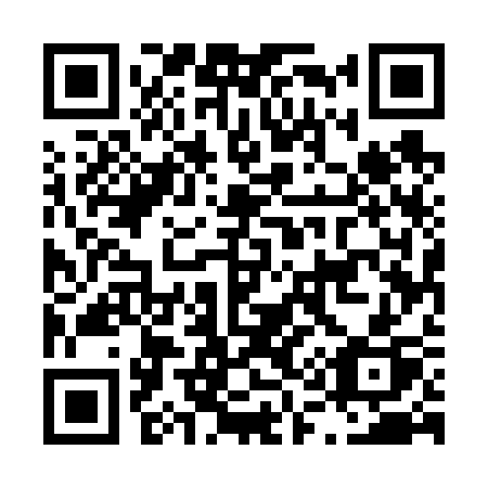 QR code for plate L15-63P