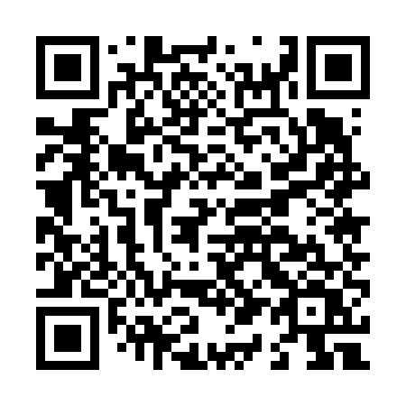 QR code for L1565V