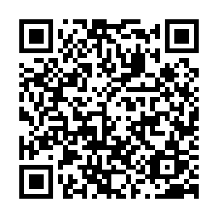 QR code for plate L16-13R