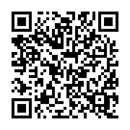 QR code for plate L16-19F