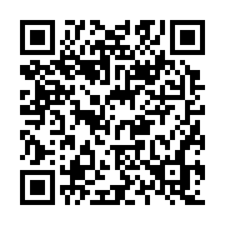 QR code for plate L16-36N