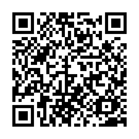 QR code for plate L16-93O