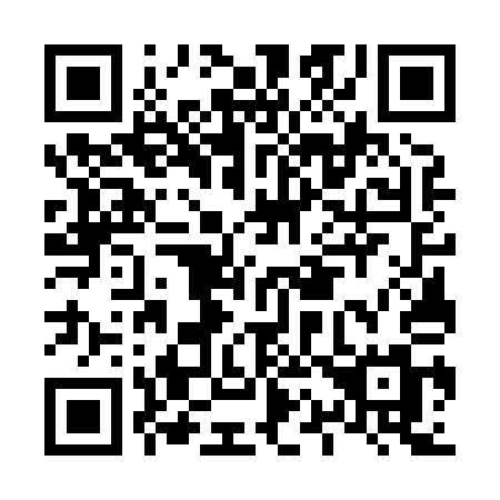 QR code for L17-81M