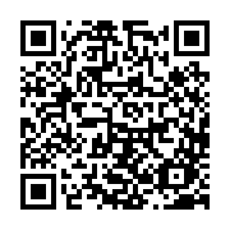 QR code for plate L20-24O