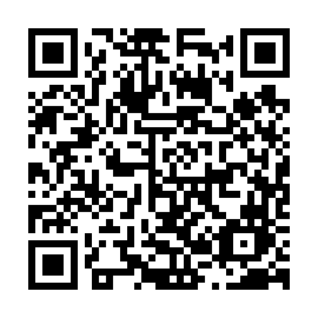 QR code for plate L21-66N