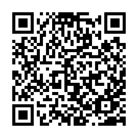 QR code for plate L21-78T
