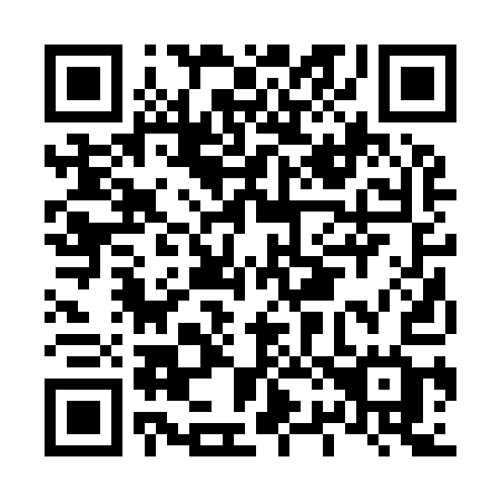 QR code for L2291G
