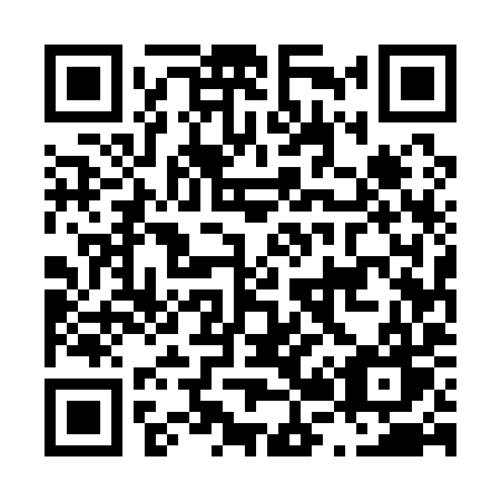 QR code for plate L25-19W