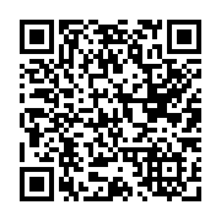 QR code for plate L26-38L