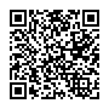 QR code for L2818S