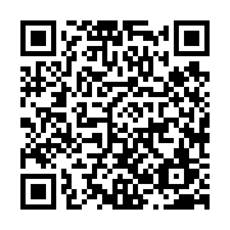 QR code for plate L28-63V