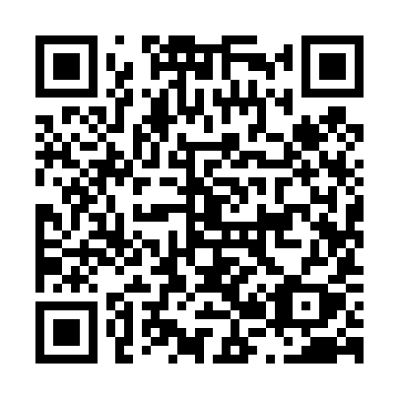 QR code for L29-49Y