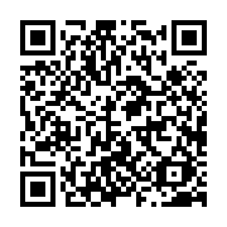 QR code for plate L30-82K