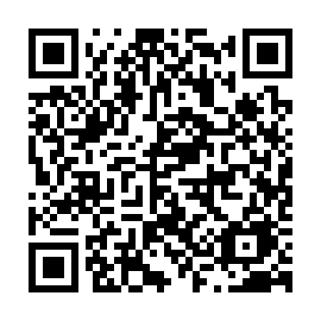 QR code for plate L31-32E