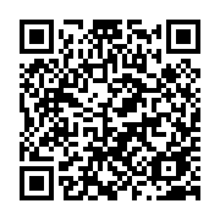 QR code for plate L33-00E