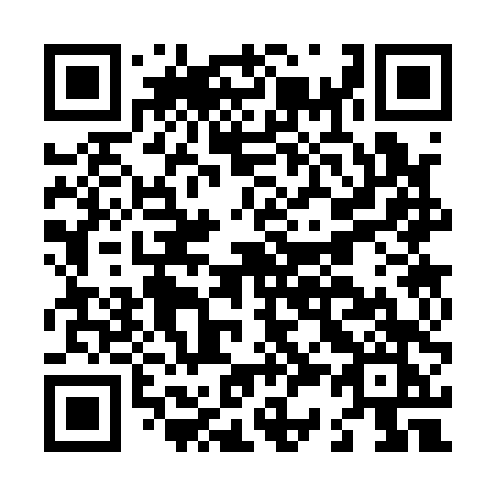 QR code for plate L33-14K
