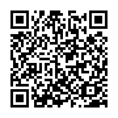 QR code for plate L35-55Q