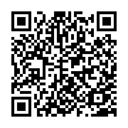 QR code for plate L36-28U