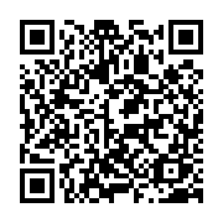 QR code for plate L36-56P