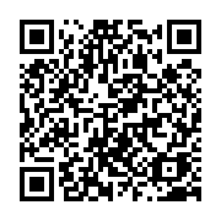 QR code for plate L37-57A