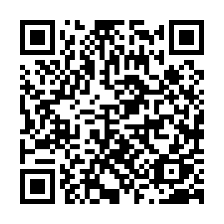 QR code for L38-11P