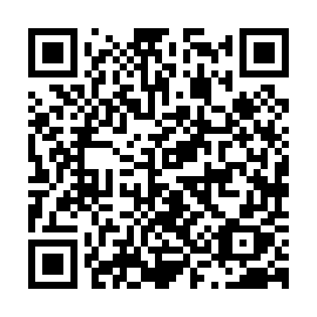 QR code for plate L38-05X